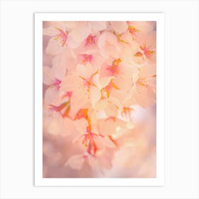 Japanese Sakura Blossom Art Print