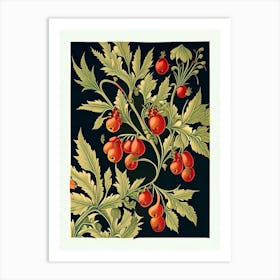 Firethorn 3 Floral Botanical Vintage Poster Flower Art Print