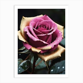 Heritage Rose, Love, Romance (1) Art Print