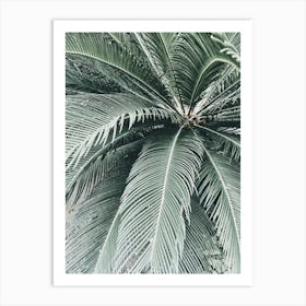 Palm Tree Art Print