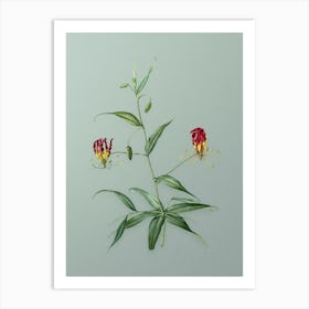 Vintage Flame Lily Botanical Art on Mint Green Art Print