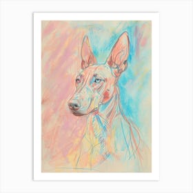 Pastel Watercolour Pharaoh Hound Dog Line Illustration 2 Art Print