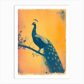 Orange & Blue Peacock Cyanotype Inspired 4 Art Print