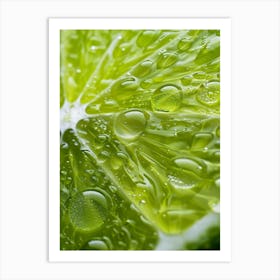 Lime Slice With Water Droplets Art Print