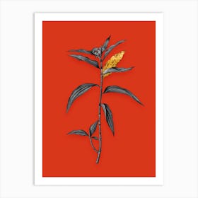 Vintage Dayflower Black and White Gold Leaf Floral Art on Tomato Red n.0559 Art Print