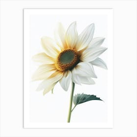 Sunflower 4 Art Print