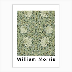 William Morris Floral Illustration Art Print