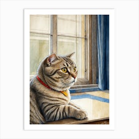 Cat By The Window 3 Art Print