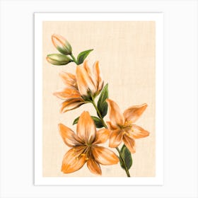 Lily Flower Art Print