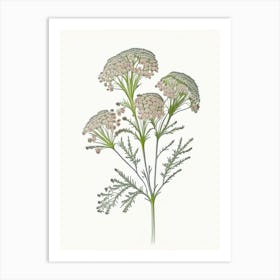 Yarrow Floral Quentin Blake Inspired Illustration 4 Flower Art Print