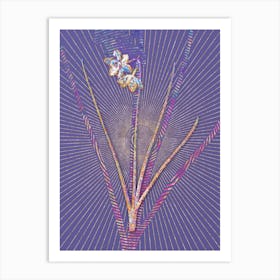 Geometric Narcissus Odorus Mosaic Botanical Art on Veri Peri n.0149 Art Print