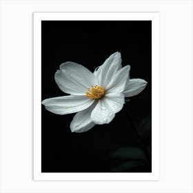 White Flower In The Dark 5 Art Print