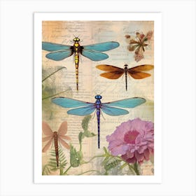 Dragonfly Vintage Species 2 Art Print