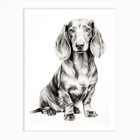 Dachshund Dog, Line Drawing 1 Art Print