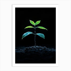 Green Plant Sprouting From The Ground Art Print