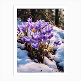 Beautiful Winter Flowers 44 Art Print