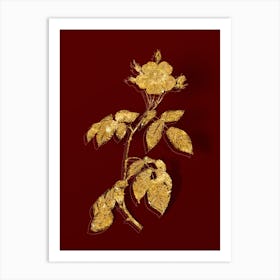 Vintage Big Leaved Climbing Rose Botanical in Gold on Red n.0619 Art Print