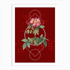 Vintage Provins Rose Botanical with Geometric Line Motif and Dot Pattern n.0087 Art Print