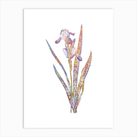Stained Glass Tall Bearded Iris Mosaic Botanical Illustration on White n.0203 Art Print