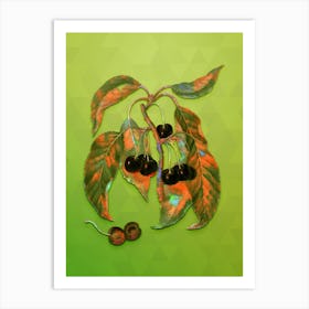 Vintage Hard Fleshed Cherry Botanical Art on Love Bird Green n.0065 Art Print