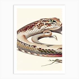 Bullsnake 1 Vintage Art Print