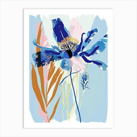 Colourful Flower Illustration Cornflower 2 Art Print