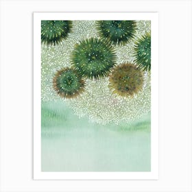 Sea Urchin Roe II Storybook Watercolour Art Print