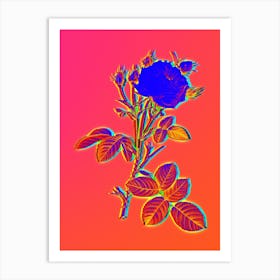 Neon White Provence Rose Botanical in Hot Pink and Electric Blue Art Print