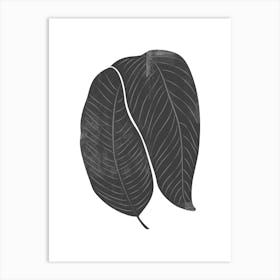Leaf Folded Art Print