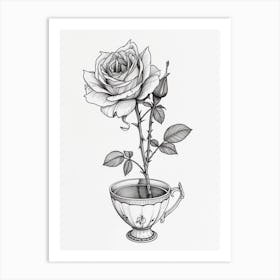 English Rose In A Cup Line Drawing 1 Art Print