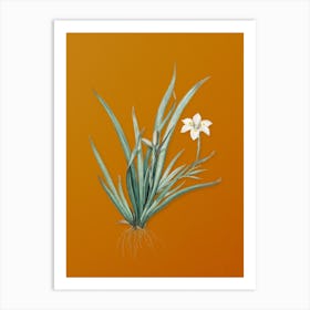 Vintage Fortnight Lily Botanical on Sunset Orange n.0224 Art Print