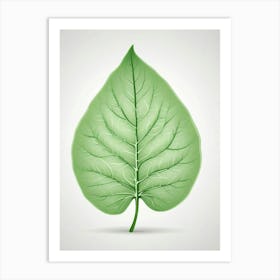 Green Leaf Vector Art Print