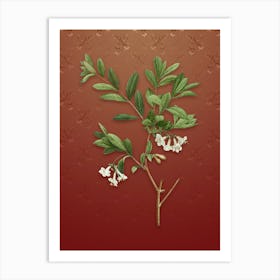 Vintage White Honeysuckle Plant Botanical on Falu Red Pattern n.0428 Art Print