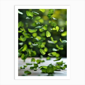 Mint Leaves In The Air Art Print