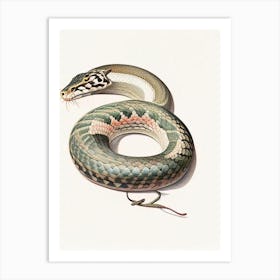 File Snake Vintage Art Print