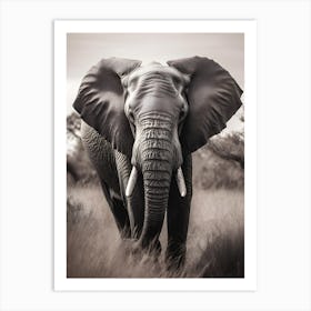 Elephant In The Grass Art Print