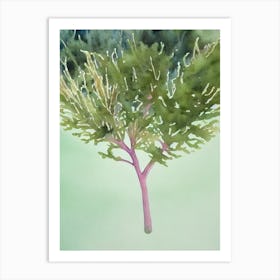 Acropora Acuminata Storybook Watercolour Art Print