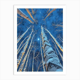 Birch Trees At Night Art Print