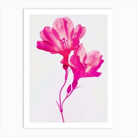 Hot Pink Freesia 2 Art Print