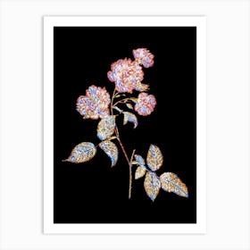 Stained Glass Red Cabbage Rose in Bloom Mosaic Botanical Illustration on Black n.0213 Art Print