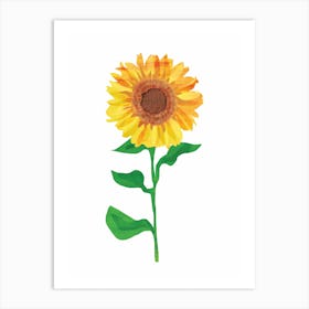 Sunflower Art Print