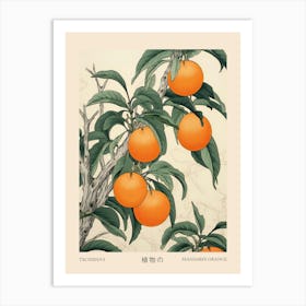 Tachibana Mandarin Orange 1 Vintage Japanese Botanical Poster Art Print