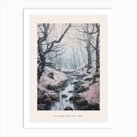 Dreamy Winter National Park Poster  Killarney National Park Ireland 5 Art Print