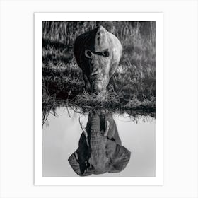 Elephant And Rhinoceros Black And White Art Print