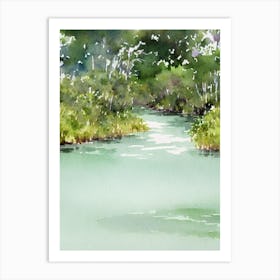 Everglades National Park United States Of America Water Colour Poster Art Print