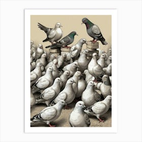 Pigeons 3 Art Print