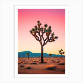 Joshua Tree At Dawn In The Desert In South Western Style 2 Art Print