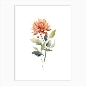 Dahlia Flower Art Print