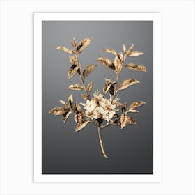 Gold Botanical Azalea on Soft Gray n.0141 Art Print