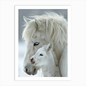 White Horse And Foal Art Print